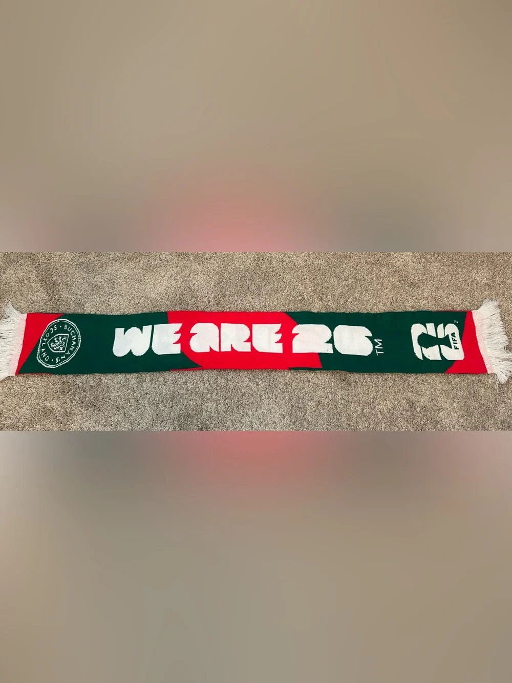 We Are 26 Green and Red Knit Scarf